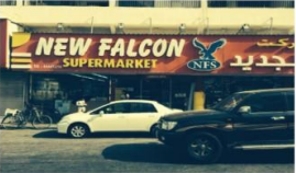 New Falcon